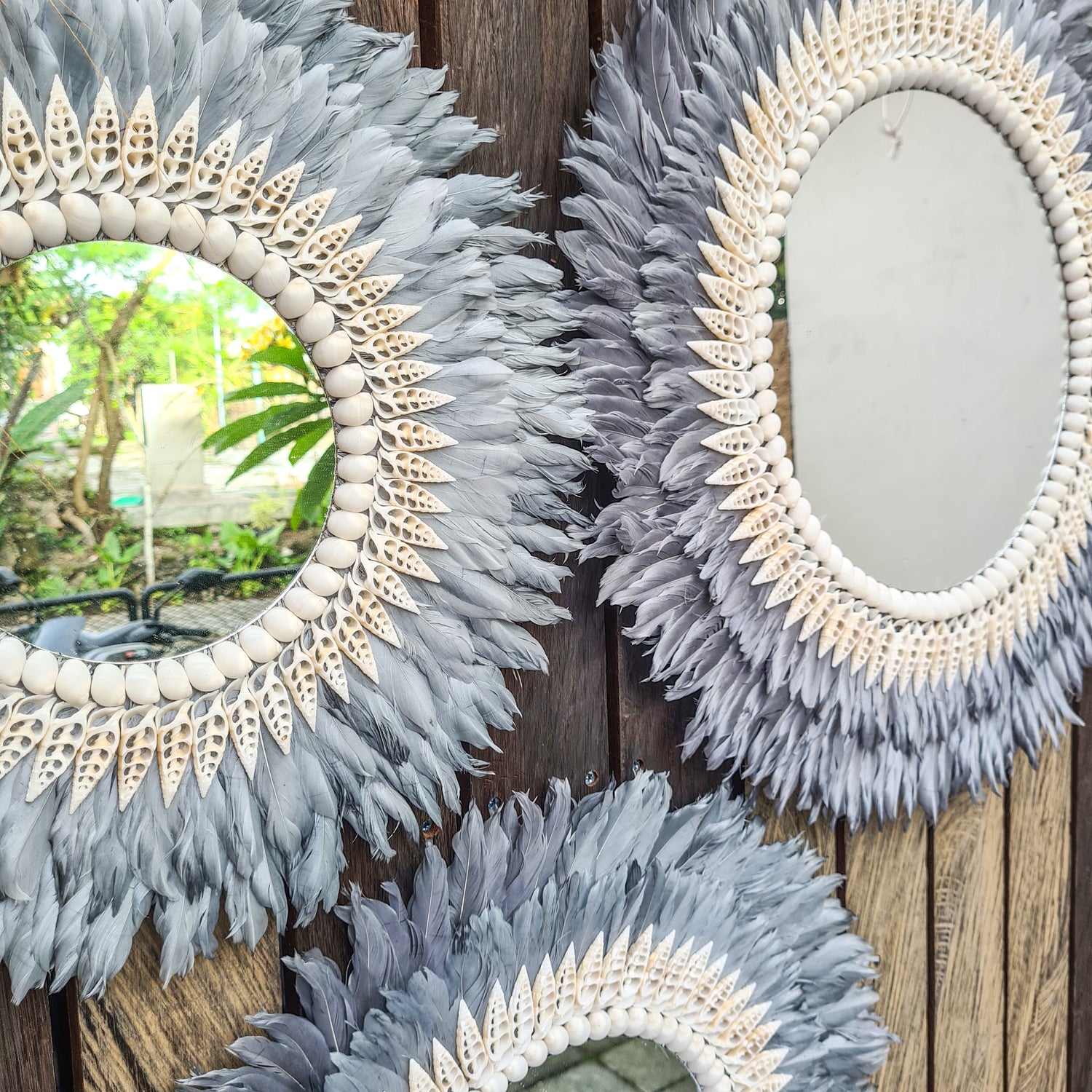 Mirrors (feathers frame)