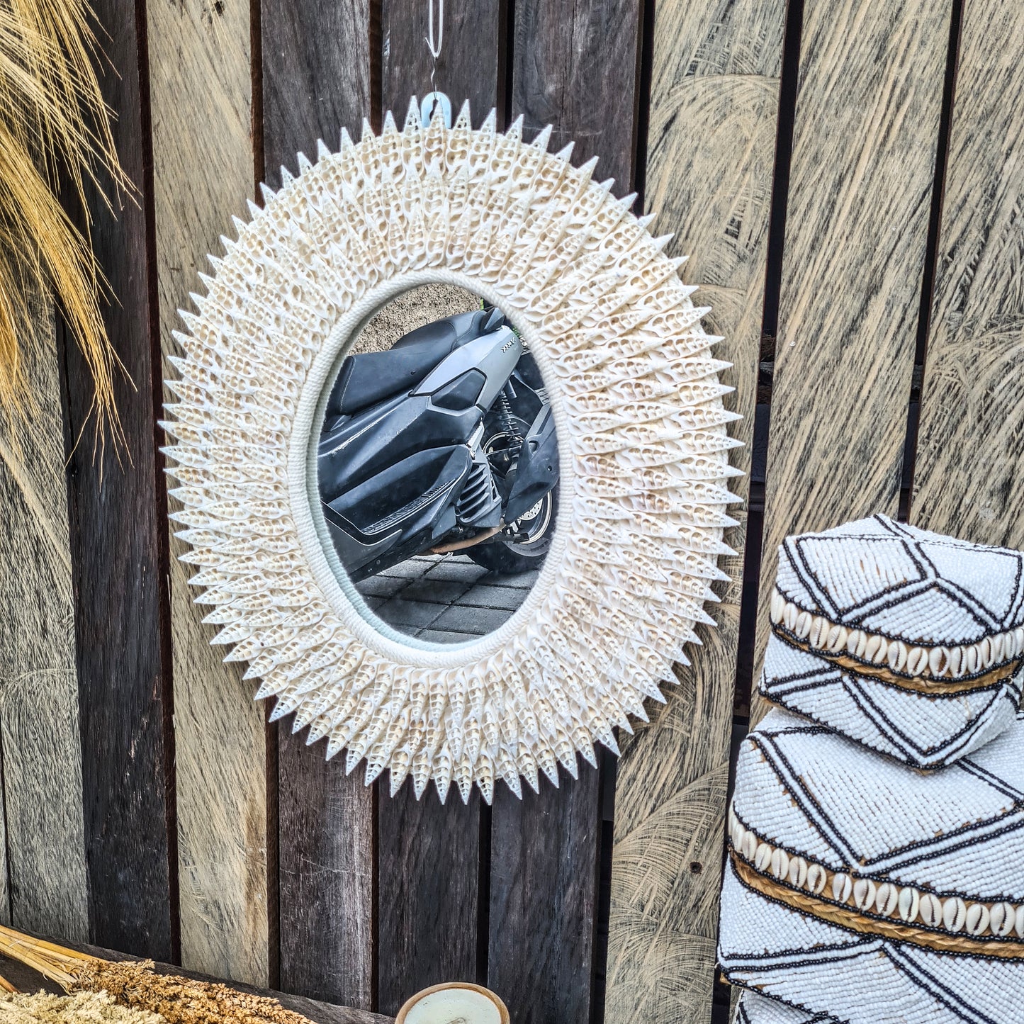 Mirror shells & feathers (WHOLESALE)