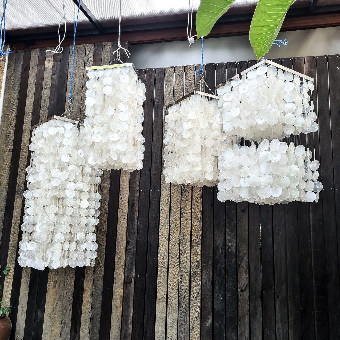 Shell chandelier shell lamp shade pendant lampshade singing chandelier home lamp shell decor