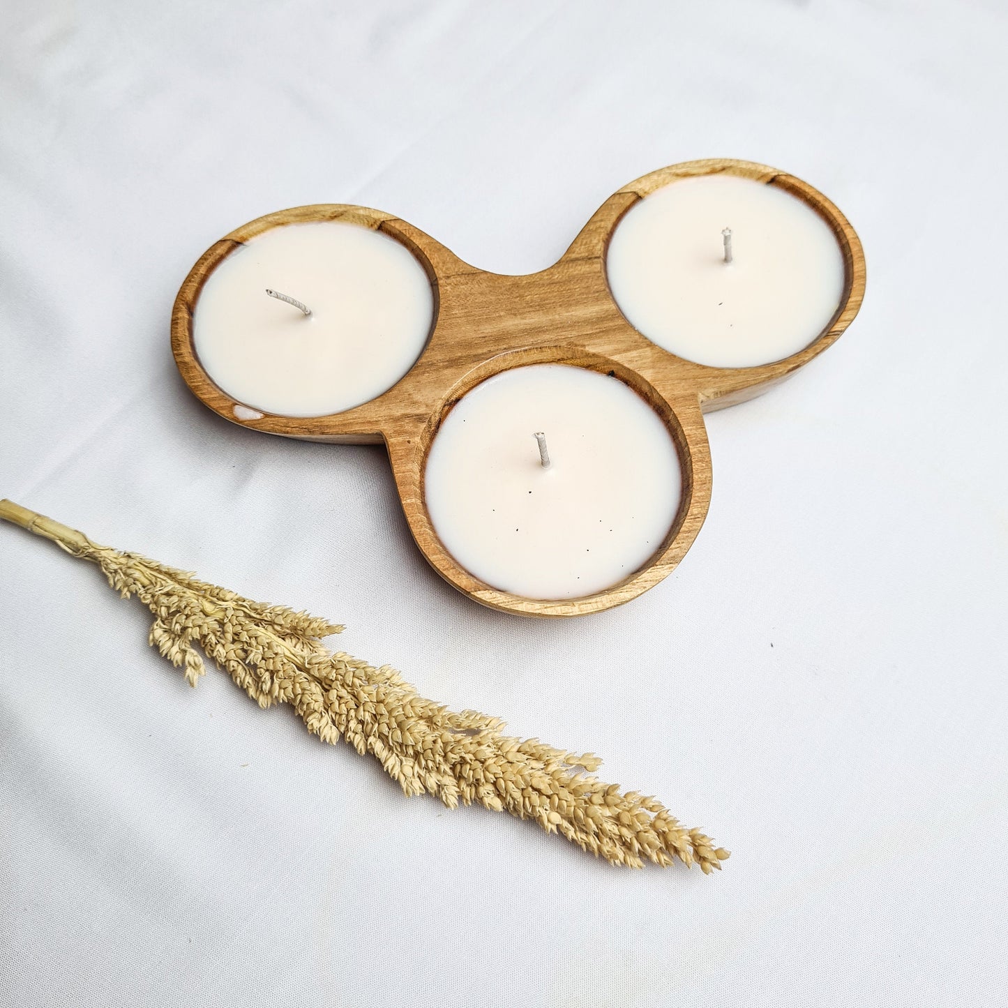 Teak wood shell candle Trio | aroma aromatherapy candles hand made eco wax soy coconut palm organic